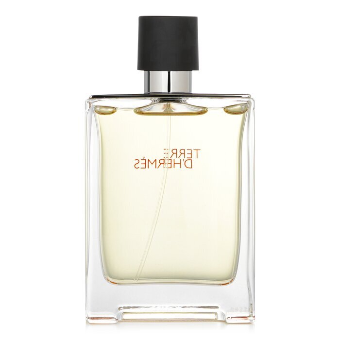 Terre D'Hermes Eau De Toilette Spray 100ml