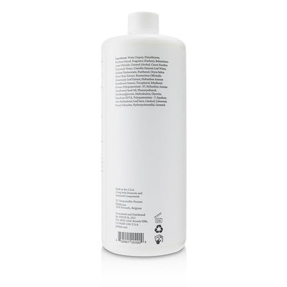 Philip B Weightless Volumizing Conditioner (All Hair Types) 947ml/32oz