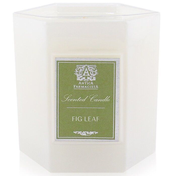 Antica Farmacista Candle - Fig Leaf 255g/9oz