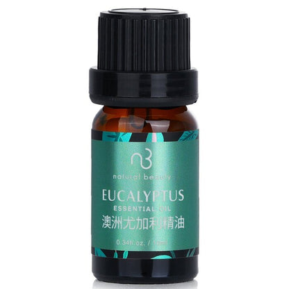 Natural Beauty Essential Oil - Eucalyptus 10ml/0.34oz