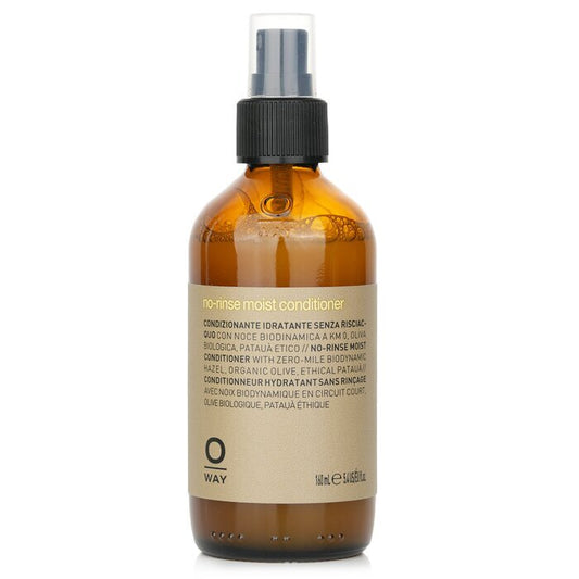 Oway No Rinse Moist Conditioner 160ml