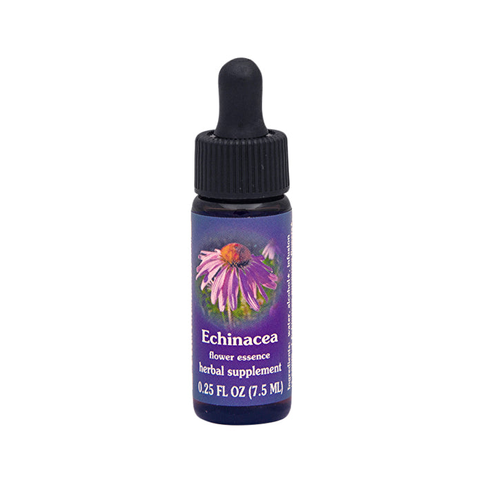 Fes Organic Quintessentials Flower Essence Echinacea 7.5ml